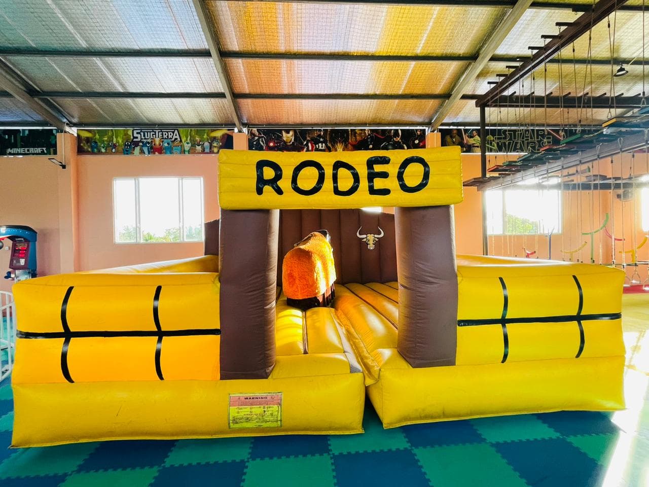 Rodeo Bull